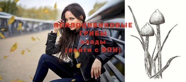 ешки Верея