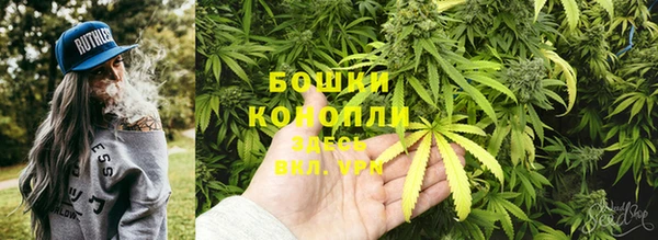 ешки Верея