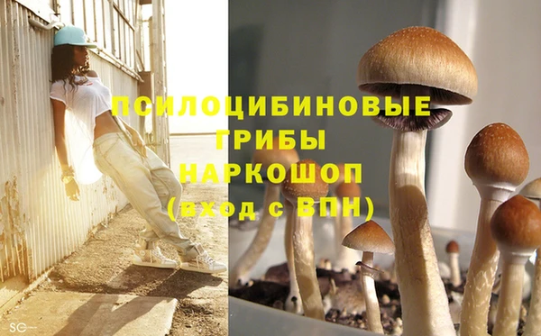 соль курить ск Верхний Тагил