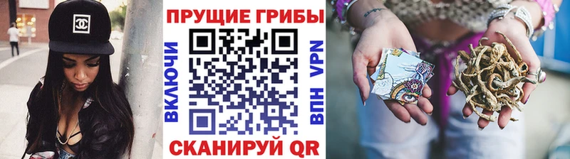 Галлюциногенные грибы MAGIC MUSHROOMS  Яровое 